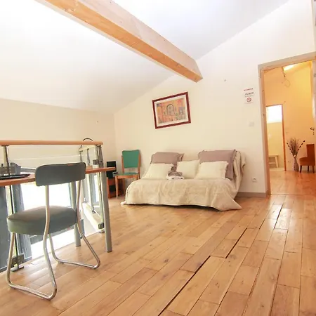 Vakantiehuis Introuvable ! Duplex & Jardin Plein Centre Ville! *