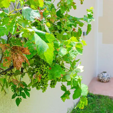Introuvable ! Duplex & Jardin Plein Centre Ville! Holiday home *